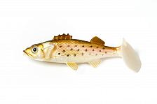 Виброхвост  CONDOR Crazy Bait PEK04 размер 100 мм, цвет 06 (3шт)