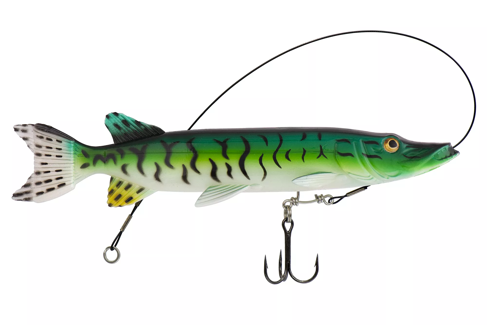 KYODA LIVE PIKE